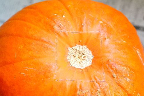 本物のかぼちゃ「大」（直径25cmほど）でハロウィンランタンを作ってみた