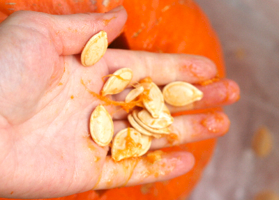 本物のかぼちゃ「大」（直径25cmほど）でハロウィンランタンを作ってみた