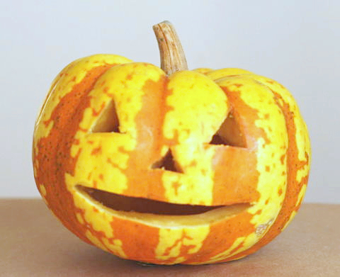 本物のかぼちゃで作ったハロウィンランタンは何日保存できる？