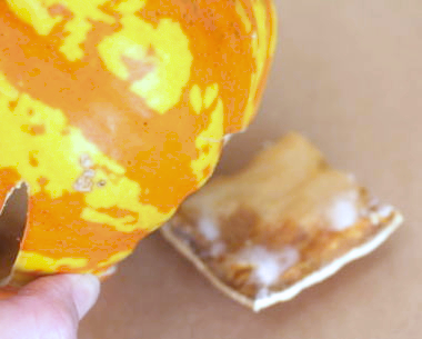 本物のかぼちゃで作ったハロウィンランタンは何日保存できる？