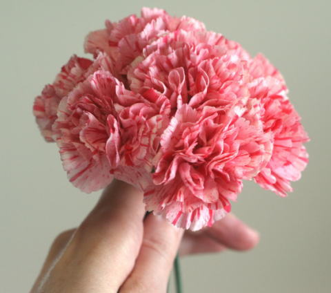 カーネーションの飾り方……ブーケみたいに花瓶に生ける