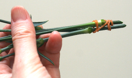 カーネーションの飾り方……ブーケみたいに花瓶に生ける