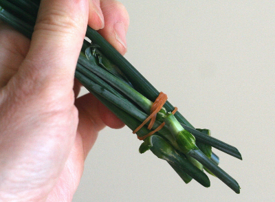 カーネーションの飾り方……ブーケみたいに花瓶に生ける