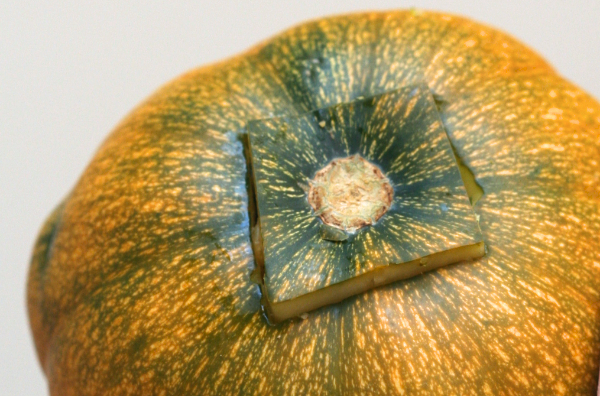 ミニかぼちゃでハロウィンランタンを作ってみた