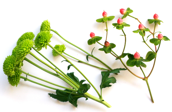 空き箱に生けるミニ正月花