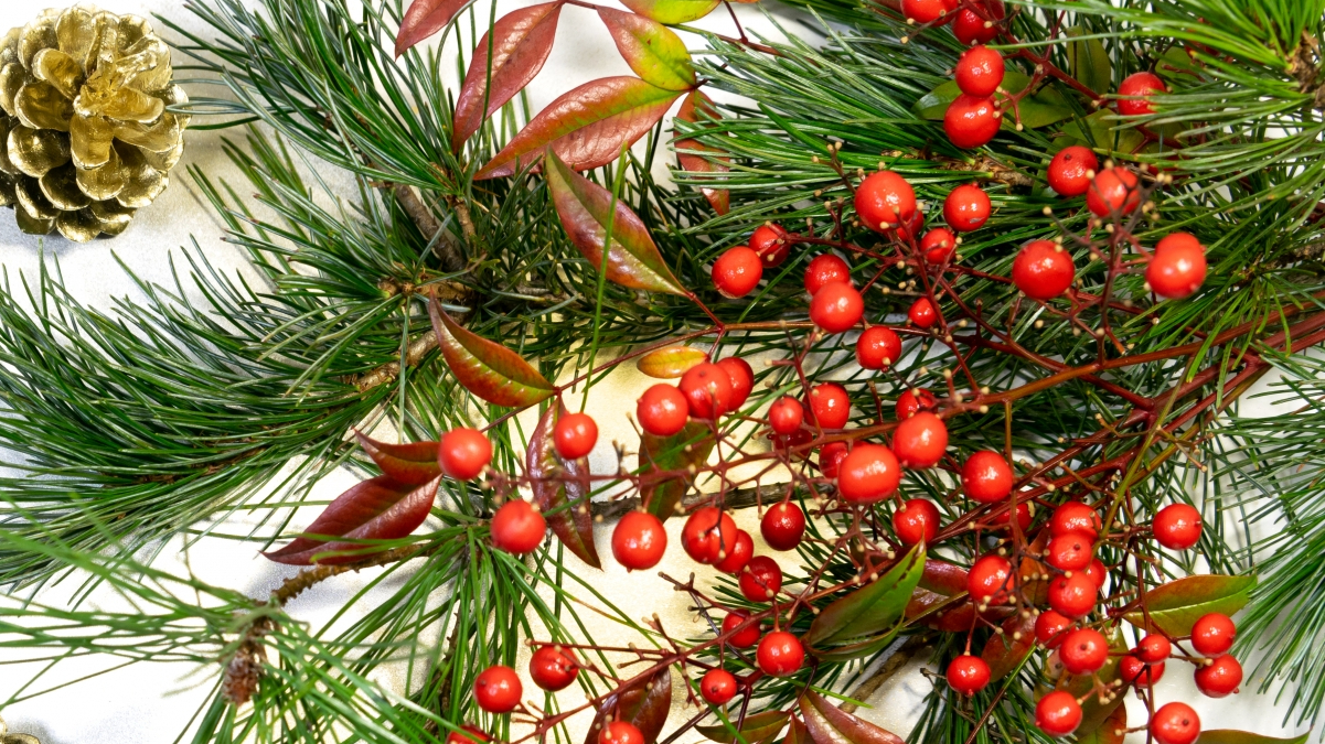 正月花は、いくらくらいで買えるのか？