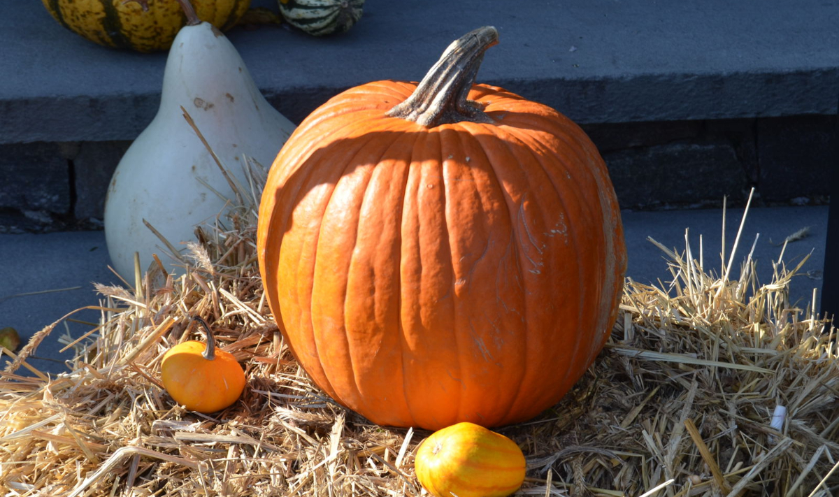 簡単に作れるハロウィンランタンとハロウィンかぼちゃ特集