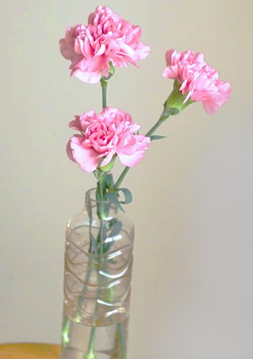 一番普通なカーネーションの生け方……花瓶に挿すだけ