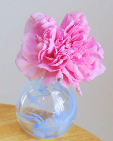 誰でもできる花の生け方……花に飾り方は、3手ある（スラっと/こんもり/ちょこっと）