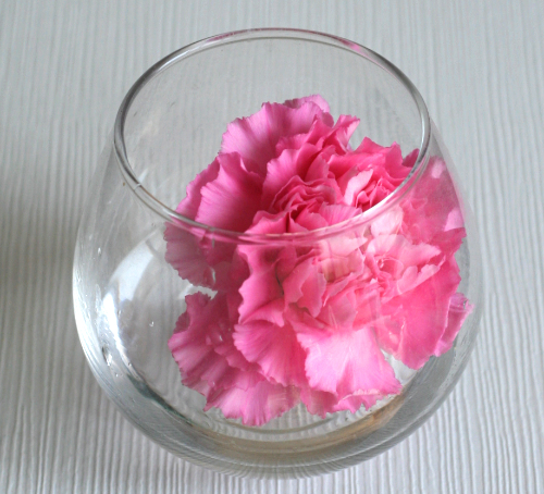 誰でもできる花の生け方……花に飾り方は、3手ある（スラっと/こんもり/ちょこっと）