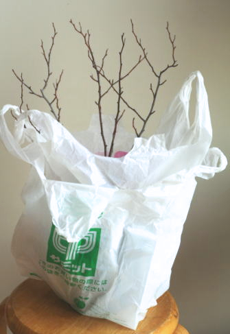 引っ越し時の植木鉢の運び方