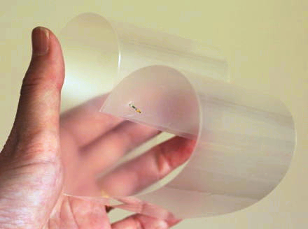 カーネーションの飾り方……ハート型に飾る