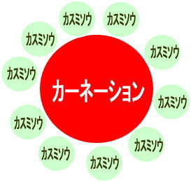 誰でもできるカーネーション2本とカスミソウ1本の簡単フラワーアレンジメント……母の日にも使えます