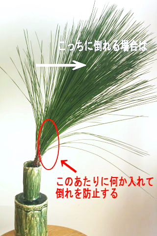 大王松の生け方に困ったら