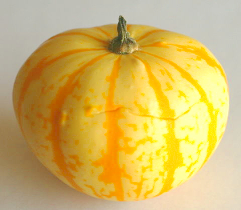 手のひらサイズの小さいかぼちゃでハロウィンランタンを作ってみた