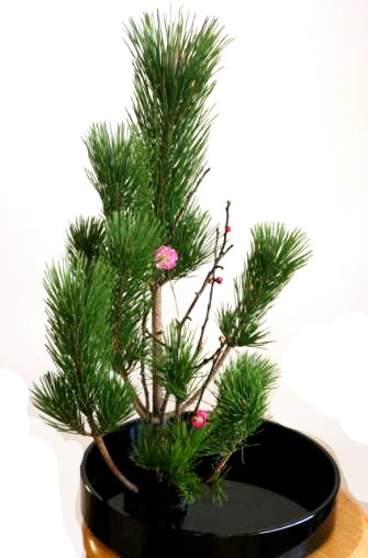 実例：10分くらいでできる正月花の生け方（3）……花を足していく