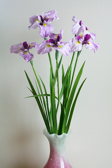 素人の方向け：花菖蒲はどんな花器（花瓶）に生けるのが良い？