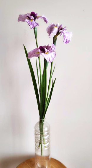 素人の方向け：花菖蒲はどんな花器（花瓶）に生けるのが良い？