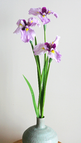 素人の方向け：花菖蒲はどんな花器（花瓶）に生けるのが良い？