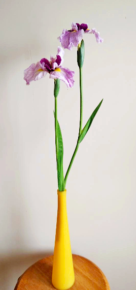素人の方向け：花菖蒲はどんな花器（花瓶）に生けるのが良い？