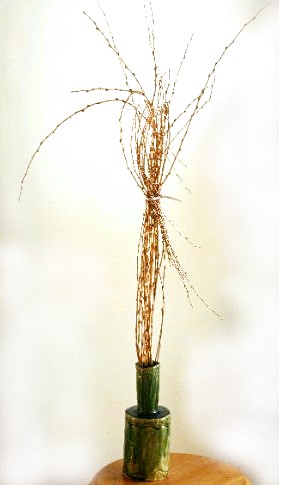 素人の方向け：お正月花の金銀柳の扱いが難しいときの最後の手段