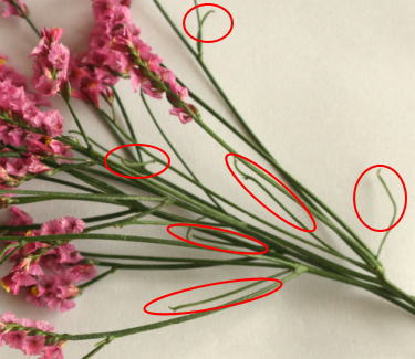生花髪飾りの作り方（ガーベラとスーパーレディ）