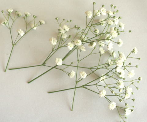 生花髪飾りの作り方（スプレーバラとかすみ草）