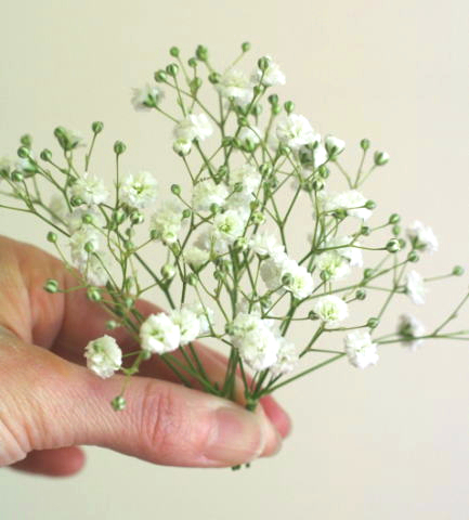 生花髪飾りの作り方（スプレーバラとかすみ草）