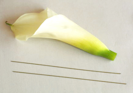 生花髪飾りの作り方（カラー）