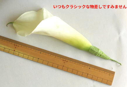 生花髪飾りの作り方（カラー）