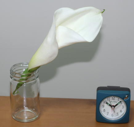 生花髪飾りの持ち時間はどのくらい？
