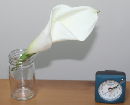 生花髪飾りの持ち時間はどのくらい？