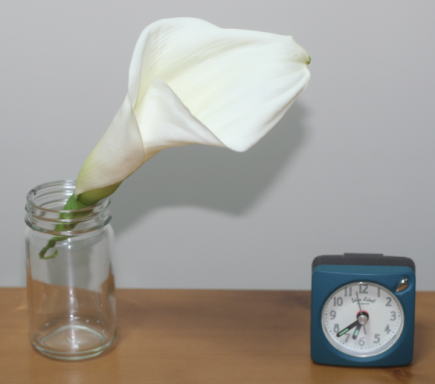 生花髪飾りの持ち時間はどのくらい？