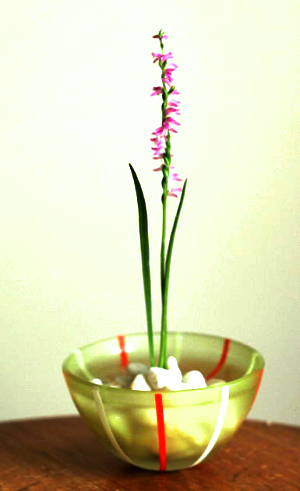 雑草を飾る