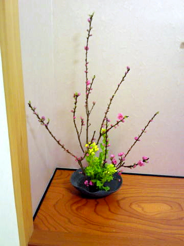 ひな祭りの花商品……切り花