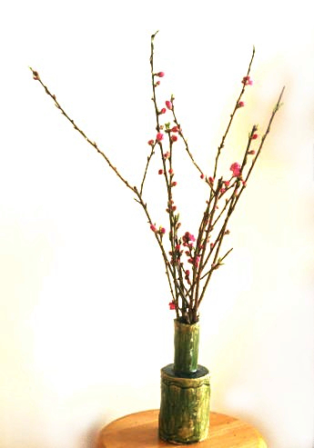 ひな祭りの桃の花：最も簡単な生け方