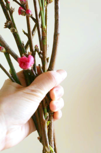 ひな祭りの桃の花：最も簡単な生け方