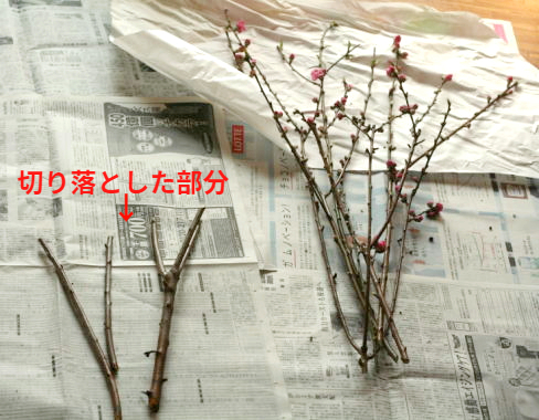 実例：10分くらいで生けられるひな祭りの花……花瓶に生ける