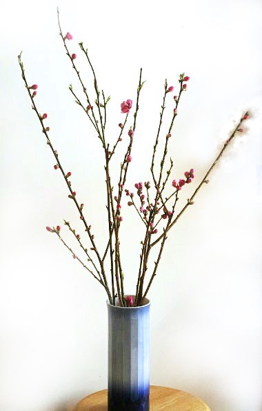 実例：10分くらいで生けられるひな祭りの花……花瓶に生ける