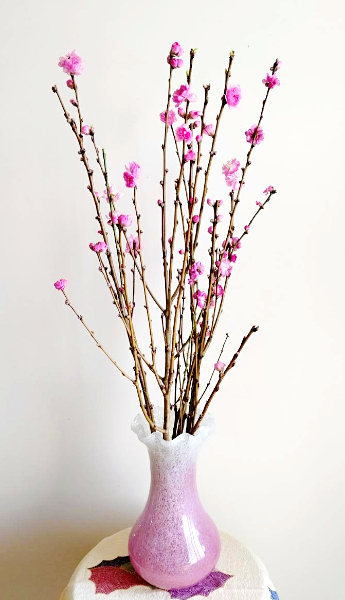 ひな祭りの桃の花：最も簡単な生け方