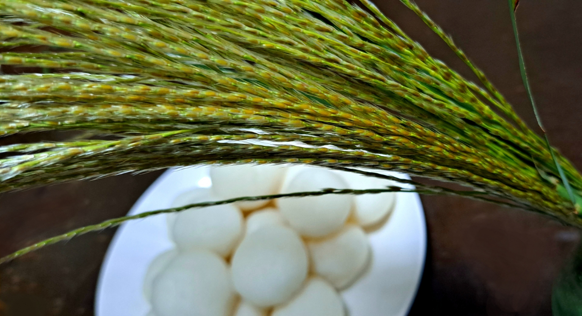 ススキの簡単な生け方の例……草刈りで切ったススキを生ける（穂が完全に開く前のススキでも大丈夫！）