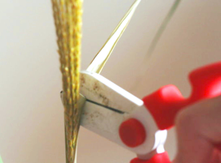 ススキの簡単な生け方の例……草刈りで切ったススキを生ける（穂が完全に開く前のススキでも大丈夫！）