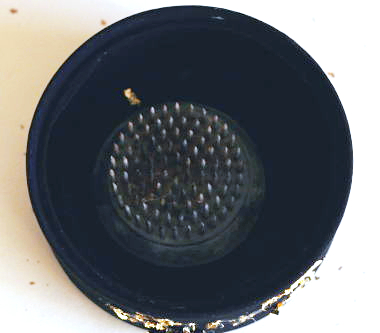 空き缶に生ける正月花