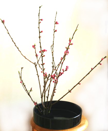 実例：簡単なひな祭りの花の生け方……水盤に生ける