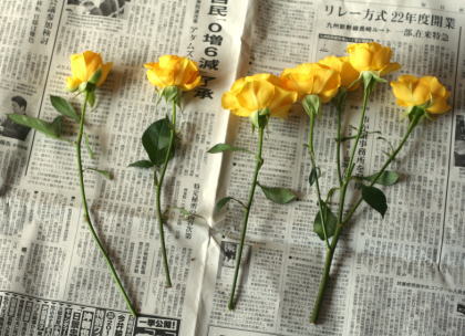 実例：簡単なひな祭りの花の生け方……水盤に生ける