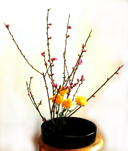 実例：簡単なひな祭りの花の生け方……水盤に生ける