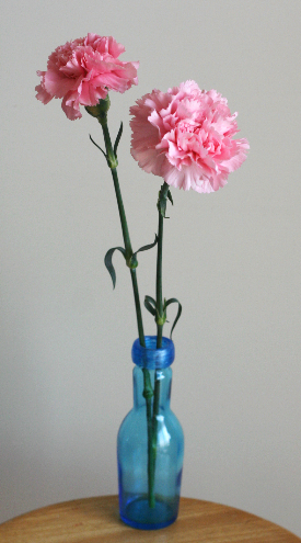 誰でもできる花の生け方……花に飾り方は、3手ある（スラっと/こんもり/ちょこっと）