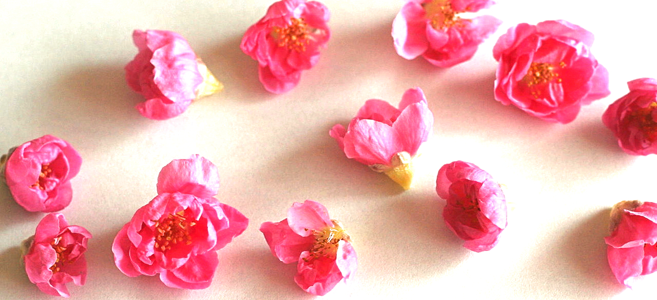 実例：5分くらいで生けられるひな祭りの花