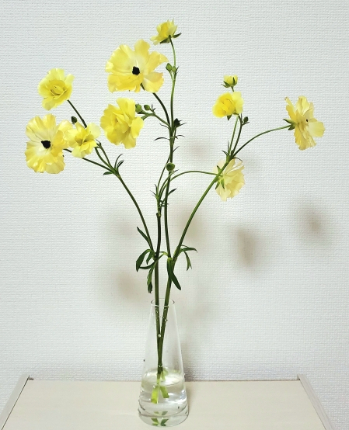 誰でもできる花の生け方……花に飾り方は、3手ある（スラっと/こんもり/ちょこっと）