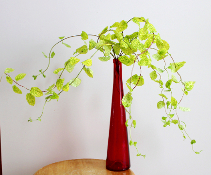 誰でもできる花の生け方……花に飾り方は、3手ある（スラっと/こんもり/ちょこっと）